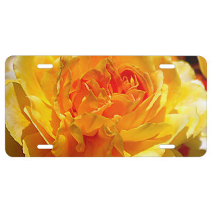 Single yellow rose license plate
