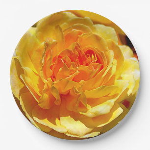 Single yellow rose paper plates