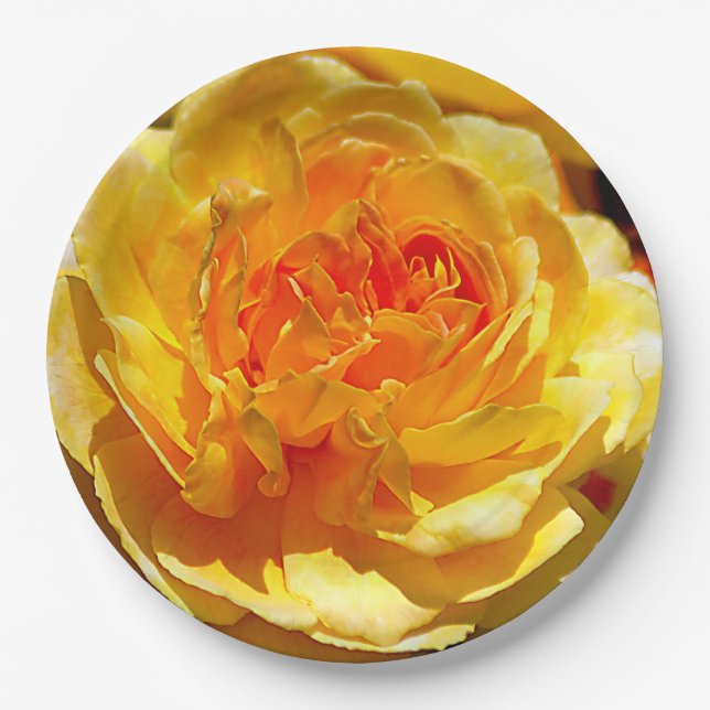 Single yellow rose   paper plates (Front)