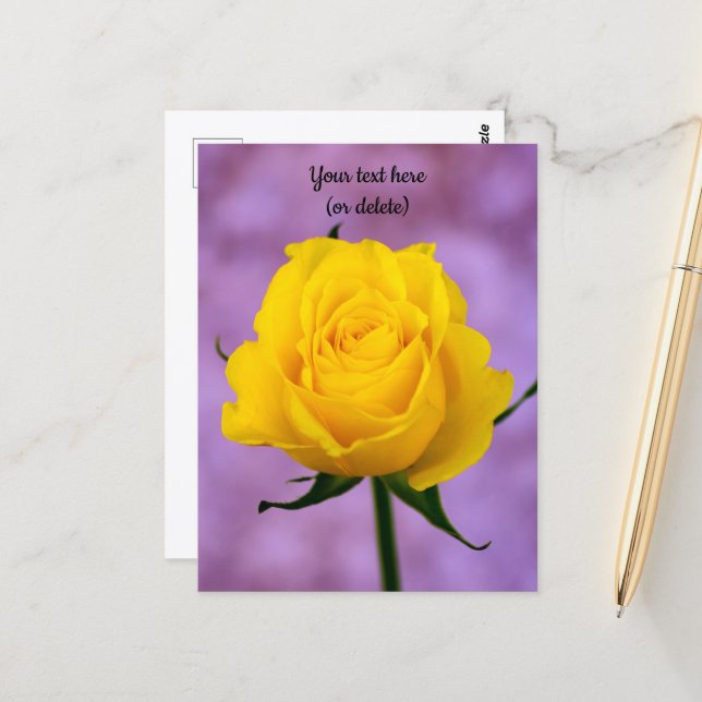 Single Yellow Rose Postcard (Front/Back In Situ)
