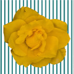 Single Yellow Rose Sculpture<br><div class="desc">This SingleYellow Rose design from Zazzle and Elizabeth's Creative Pursuits features a single yellow rose. It is also available with a single pink rose, a single red rose, or a single white rose. Red roses symbolize love and passion, yellow roses symbolize friendship, pink roses symbolize admiration or affection, and white...</div>