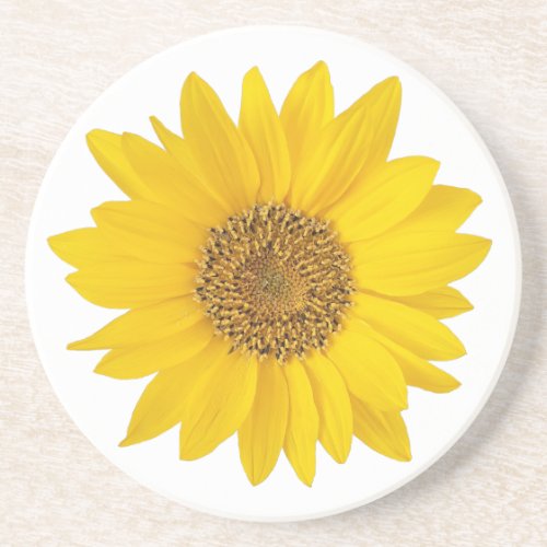 Single Yellow Sunflower Coaster