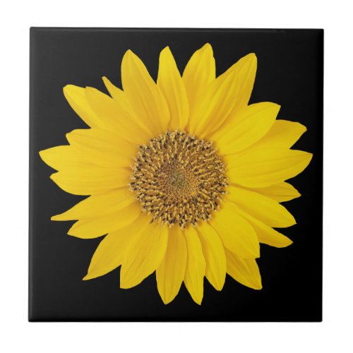 Single Yellow Sunflower on Black Ceramic Tile