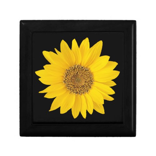Single Yellow Sunflower on Black Gift Box