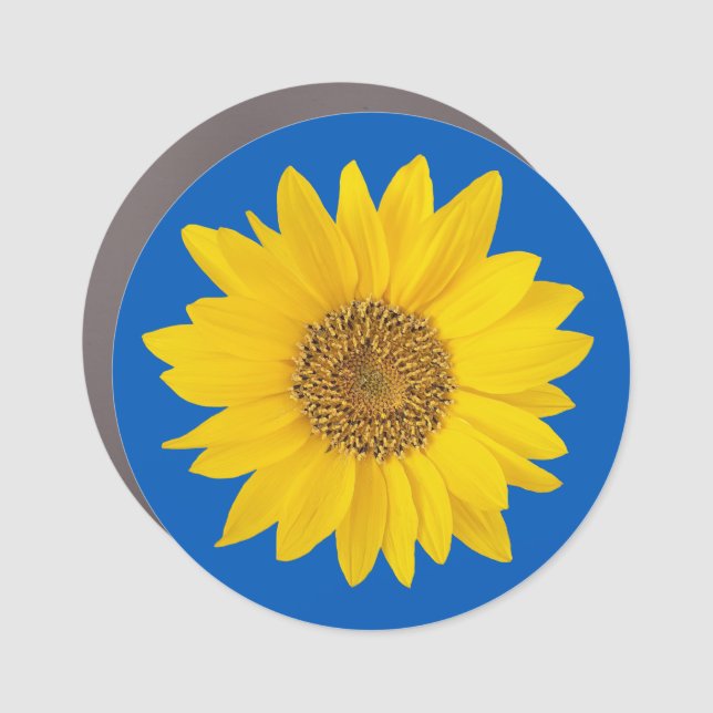 Single Yellow Sunflower on Blue Car Magnet (Front)