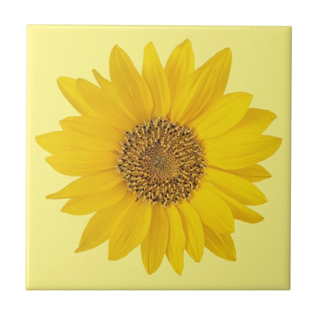 Single Yellow Sunflower on Light Yellow Ceramic Tile (Front)