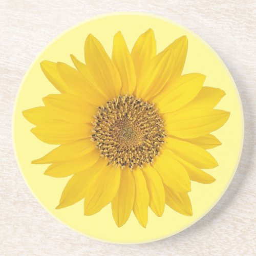 Single Yellow Sunflower on Light Yellow Coaster