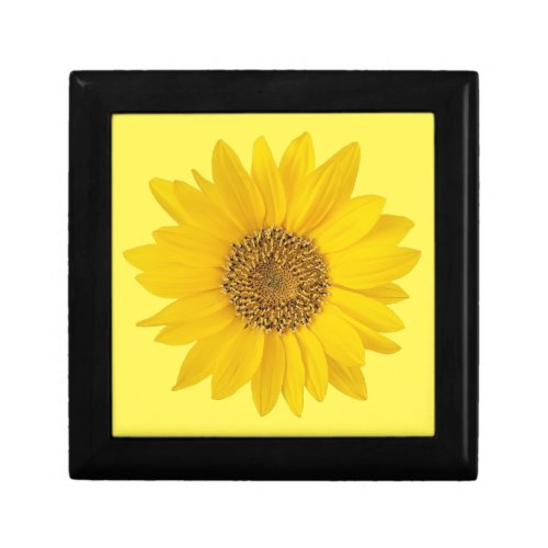 Single Yellow Sunflower on Light Yellow Gift Box