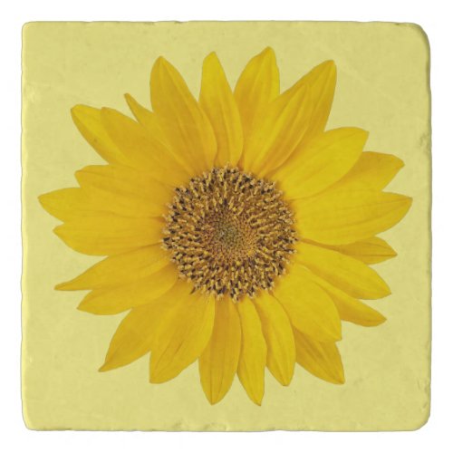 Single Yellow Sunflower on Light Yellow Trivet