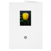 Single yellow tulip flower cards (Back)