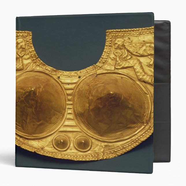Sinu breastplate binder (Front/Inside)