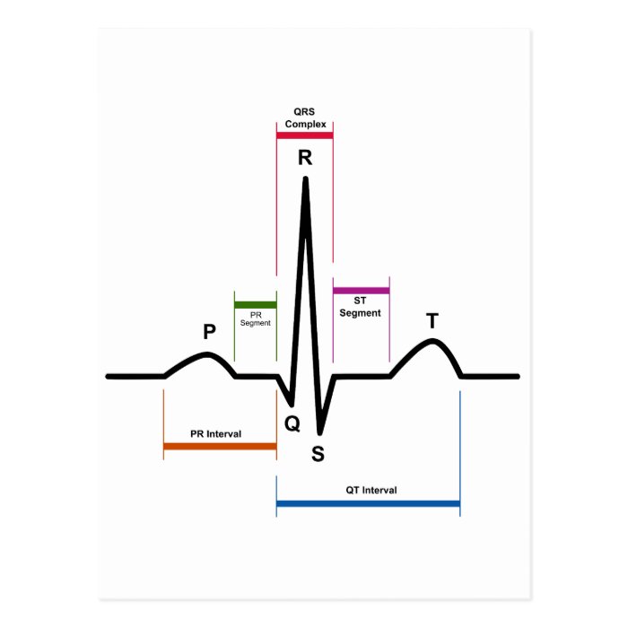 Sinus Rhythm in an Electrocardiogram ECG Diagram Postcards