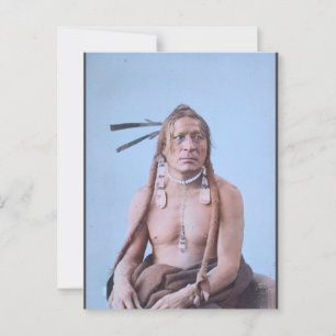 Sioux Warrior (circa 1890) Postcard