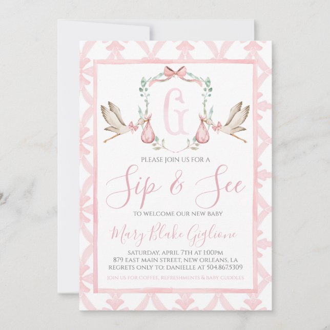 Sip and See Baby Girl Watercolor Stork Invitation (Front)