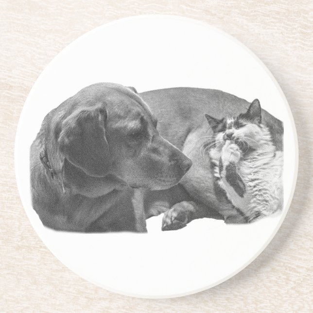 Sip Break with Pals Coaster (Front)