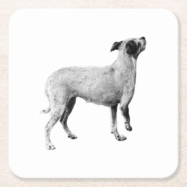 Sip Pause—Looking Up Square Paper Coaster (Front)
