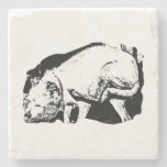 Sip While He Scratches Stone Coaster