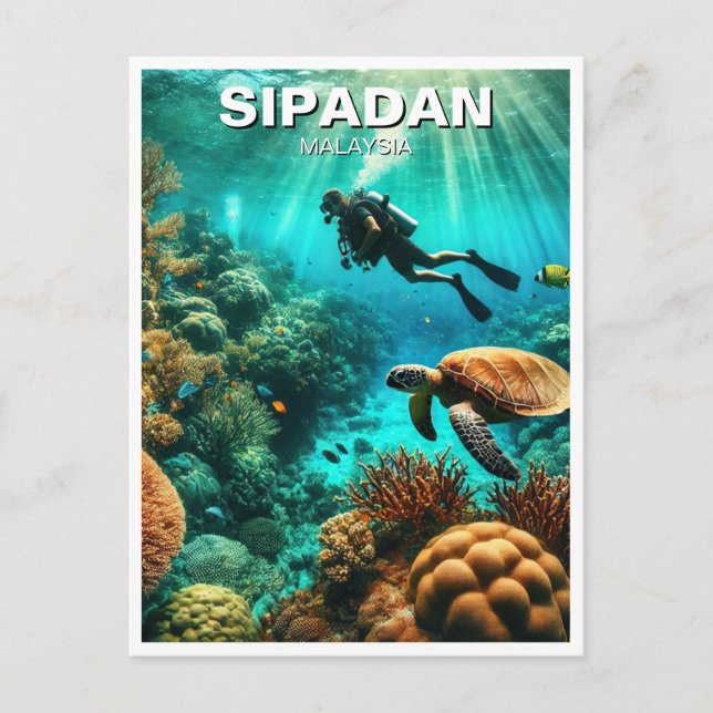 Sipadan Malaysia Scuba Diver Postcard (Front)