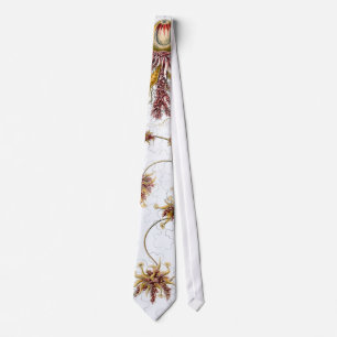 Siphonophorae Ernst Haeckel Fine Art Neck Tie