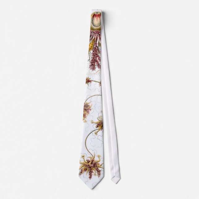 Siphonophorae Ernst Haeckel Fine Art Neck Tie (Front)