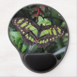 Siproeta stelenes gel mouse pad