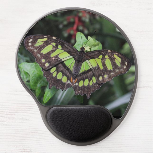 Siproeta stelenes gel mouse pad (Front)