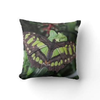 Siproeta stelenes throw pillow