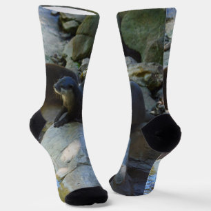 **"Sips by the Stream: Otters Drinking from River Socks