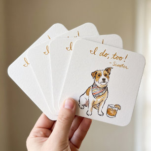Sipwoof Coaster