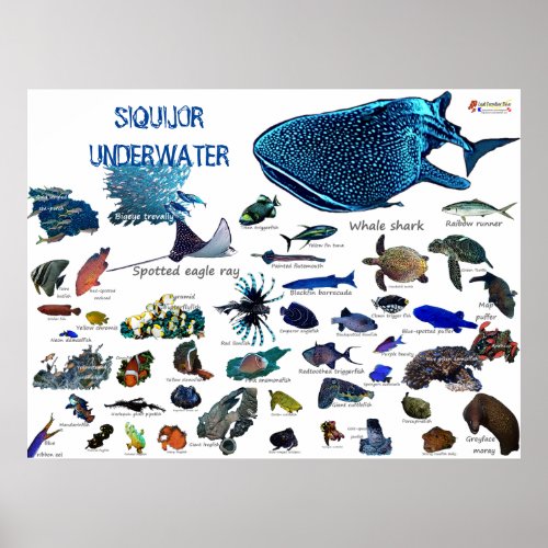 Siquijor Underwater World Poster