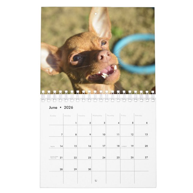 Sir Bardsley 2020 Wall Calendar (Jun 2026)