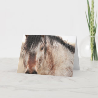 Sir Behr Blank Card 