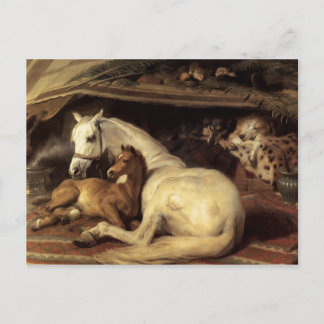 Sir Edwin Henry Landseer | The Arab Tent Postcard