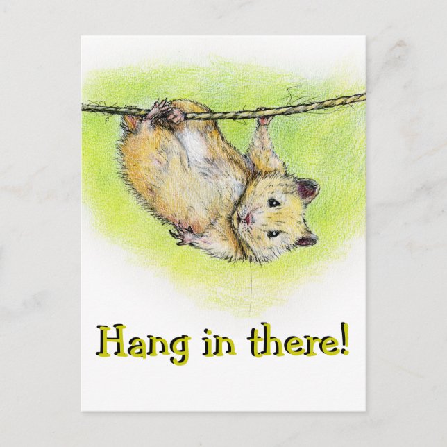 Sir Ham Postcard (Front)