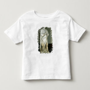 Sir Isaac Newton Toddler T-shirt