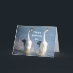 "SIS-CELEBRATE ENJOY, KICK UP YOUR HEALS" BIRTHDAY CARD<br><div class="desc">Let that Special Sister know how very much you wish her a HAPPY BIRTHDAY by sending this gorgeous card to her today. These geese were having a BALL and it was my pleasure to watch and capture it in Myrtle Beach!!! (loved living there) THANKS so very much for stopping by...</div>