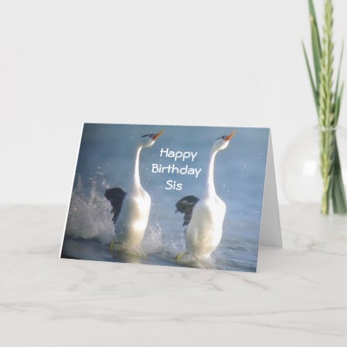 SIS_CELEBRATE ENJOY KICK UP YOUR HEALS BIRTHDAY CARD