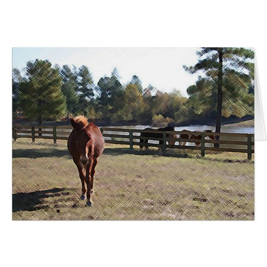 Sissy Mule Card (Front Horizontal)