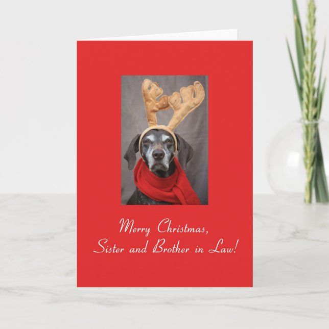 Sister and Brother in Law reindeer pointer merry x Holiday Card (Front)