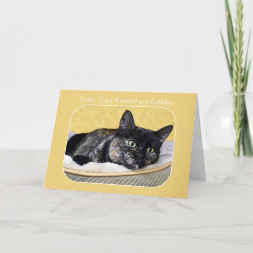 Sister Belated Birthday Tortoiseshell Cat Card
