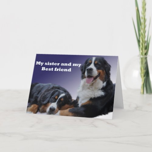 sister bernese happy birthday best wishes love card