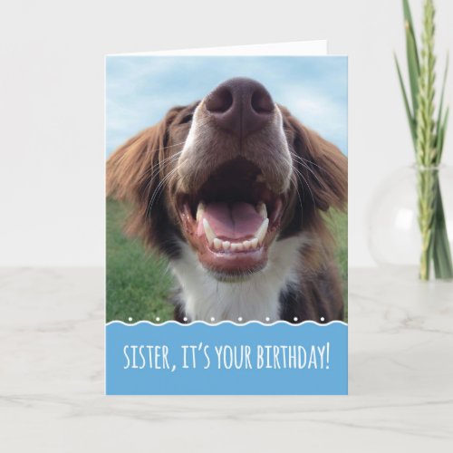Sister Birthday Happy Dog with Big Smile Card