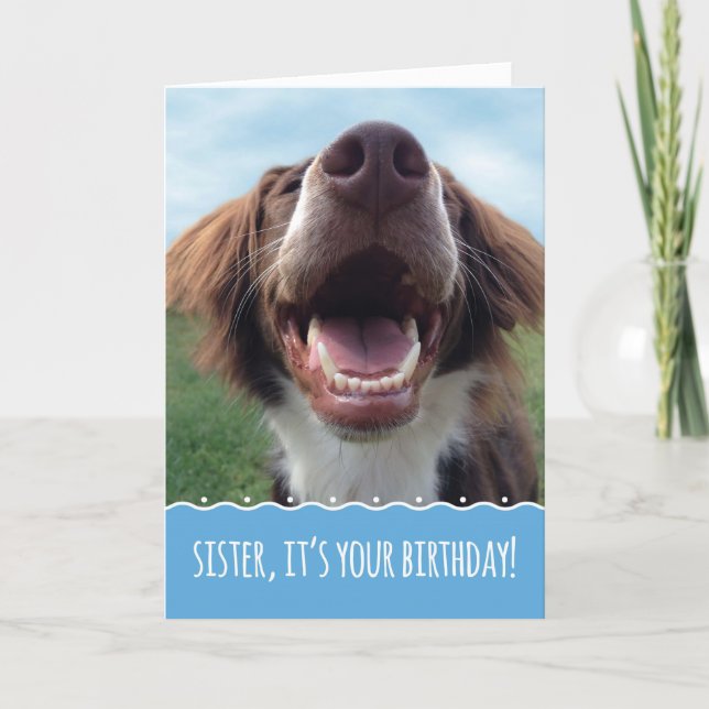 Sister Birthday, Happy Dog with Big Smile Card (Front)