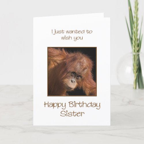 Sister Birthday Orang Utan Card