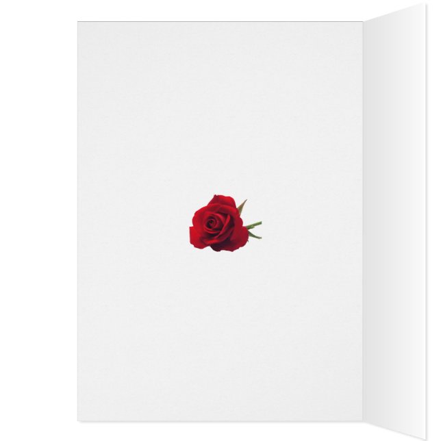 Sister Birthday Pink Daisies Cards (Inside (Left))