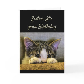 Sister can't Hide It's your Birthday Cute Kitten Card