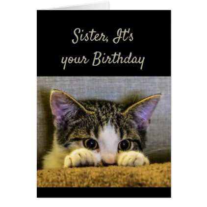 Sister can&#39;t Hide It&#39;s your Birthday Cute Kitten Card