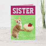 SISTER CAT BIRTHDAY CAKE BIG GREETING CARD<br><div class="desc">SISTER CUTE CAT WITH BIRTHDAY CAKE CARD. INSIDE READS: HOPE YOUR BIRTHDAY IS MEOWVELOUS</div>