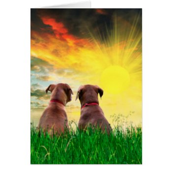 Sister Dogs Sharing by deemac2 at Zazzle