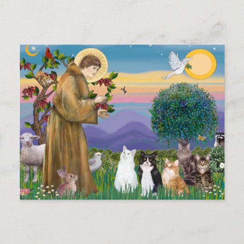 Sister Frances Blessing 5 cats Postcard